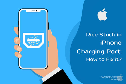 Rice Stuck in iPhone Charging Port: How to Fix it?